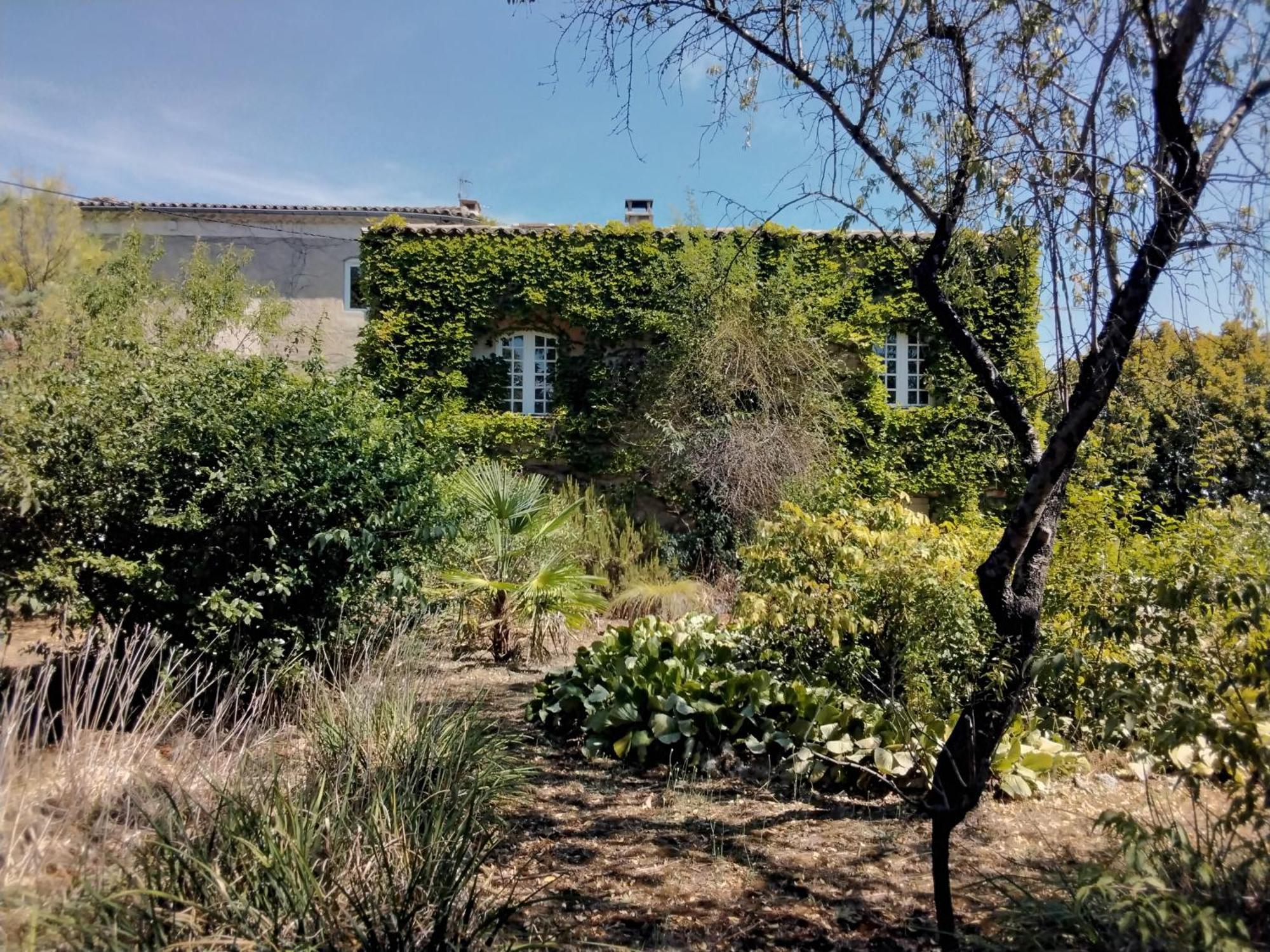 Le Domaine Du Soulier -Gite Et Chambres D'Hotes - La Maison Du Gardien Tornac Экстерьер фото